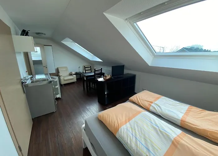 Haselmann Munster (North Rhine-Westphalia)